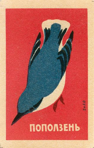 Russian matchbox label Vintage Graphic Design, Red White And Blue Graphic Design, Bird Graphic Design, Matchbook Art, Matchbox Label, Matchbox Art, Plakat Design, Poster Retro, Illustrations And Posters