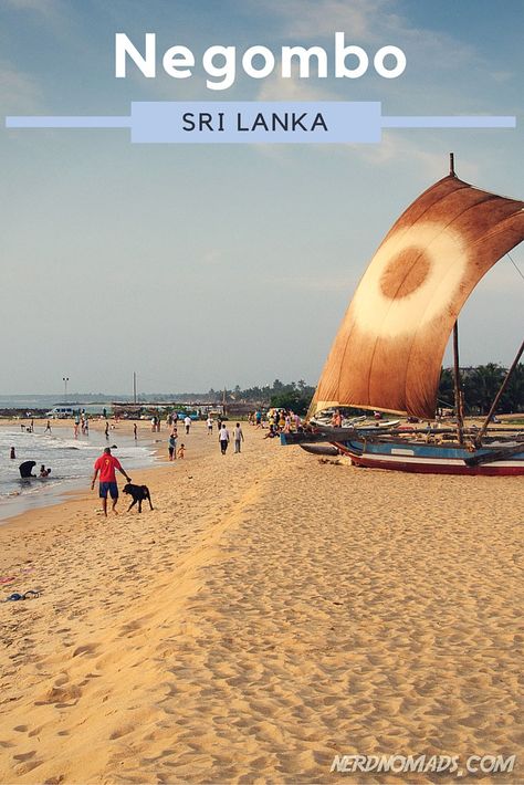 Our Last Day In Sri Lanka Spent At Negombo Beach-Nerd Nomads Pray For Sri Lanka, Sri Lanka Surf, Sri Lanka Photography, Sri Lanka Holidays, Sri Lanka Beach, Sri Lanka Travel, Beach Fishing, The Best Recipes, Bagan