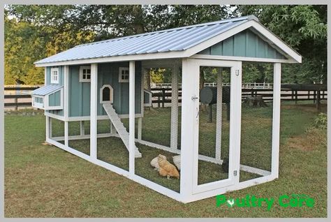 10 Pallet Chicken Coop Plans and Ideas – Easy to Build (100% Free) Chicken Coop Pallets, Pet Chicken, Custom Backyard, Chicken Coup, Portable Chicken Coop, Diy Chicken Coop Plans, Coop Design, Best Chicken Coop, Chicken Coop Designs