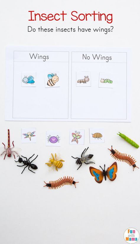 Preschool Insect Theme Sorting Worksheet + Bug Activities - Fun with Mama #preschool #homeschool #insect #sorting #finemotor #bugs Bug Large Group Activities Preschool, Insect Activity For Preschool, Learning About Bugs Preschool, Insect Curriculum Preschool, Wing Activities Preschool, Insects Prek Activities, Bug Math Preschool, I For Insects Preschool, Insects Study Creative Curriculum