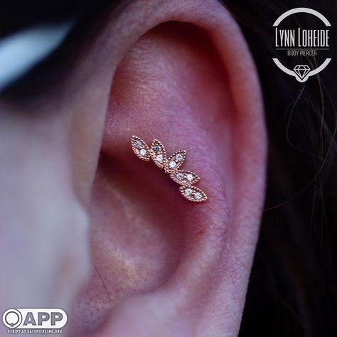 Lynn (she/they) on Instagram: “Remember when I did really cool piercings? Me too. Outer conch with some @bvla styled by @countergoblin . Doctors are saying I could…” Outer Conch, Scapha Piercing, Outer Conch Piercing, Country Girl Jewelry, Inner Conch Piercing, Ear Piercings Conch, Flat Piercing, Conch Piercing Jewelry, Conch Jewelry