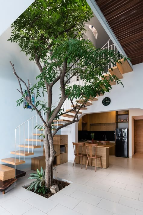 Narrow House Designs, Indoor Tree, Courtyard Design, Indoor Trees, Casa Vintage, Tropical House, Patio Interior, House Stairs, Interior Garden