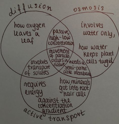 Diffusion osmosis active transport comparing Osmosis Diffusion Active Transport, Biology Notes Diffusion, Diffusion Osmosis Active Transport, Osmosis Notes Biology, Osmosis And Diffusion Notes, Pathogens Notes, Active Transport Biology Notes, Cell Transport Notes, Diffusion Notes