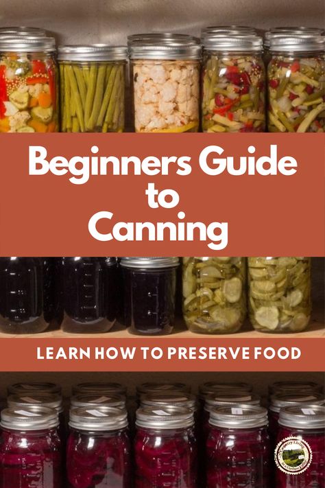 Canning Preserves, Food Canning, Easy Canning, Canning 101, Dehydrated Foods, Preserve Food, Home Canning Recipes, Canning Vegetables, Canning Food