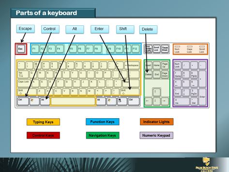 Parts of Keyboard Parts Of Keyboard, Computer Related Charts, Short Cut Keys Of Computer, Computer Keyboard Shortcut Keys, Computer Worksheet, Technology Classroom Decor, Parts Of The Computer Keyboard, Computer Shortcut Keys Keyboard Symbols, Champs Posters