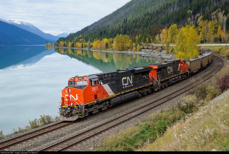 RailPictures.Net Photo: CN 2925 Canadian National Railway GE ES44AC at Moose Lake, British Columbia, Canada by Tim Stevens Canadian National Railway, Train Posters, Mermaid Photos, Pennsylvania Railroad, Train Art, Train Photography, Italy Aesthetic, Train Pictures, Trail Maps