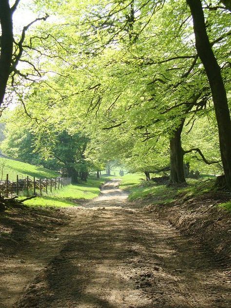 🐞 Country Roads Take Me Home, Dirt Road, Green Gables, English Countryside, Cumbria, Country Life, Beautiful World, Beautiful Landscapes, Photography Tips