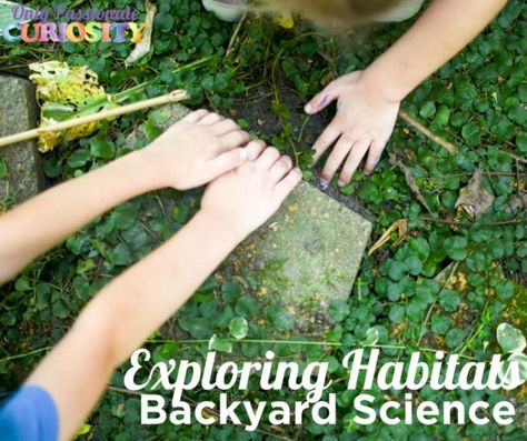 Backyard Science Backyard Science, Backyard Nature, Dating Over 40, Study Activities, Science Stem, Stem Steam, Nature Play, Science Lab, Nature Adventure