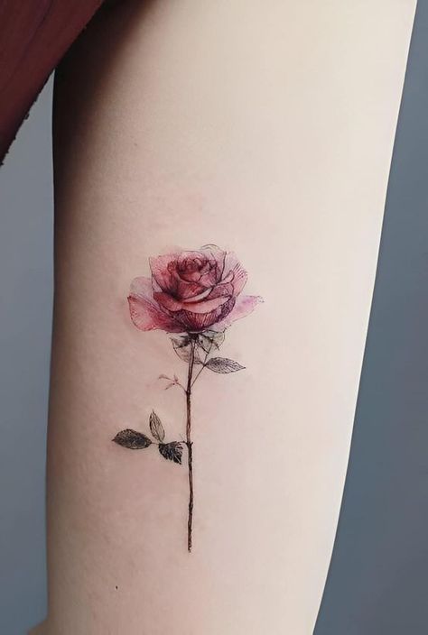 30 Elegant Feminine Rose Tattoos To Maximize Your Charm Artistic Rose Tattoo, Fine Line Red Ink Rose Tattoo, Rose Tattoo Delicate, Rose Tatooes, 3 Rose Tattoo, Two Roses Tattoo Design, 2 Roses Tattoo Design, Rose Tattoo Back, Rose Tattoo Realistic