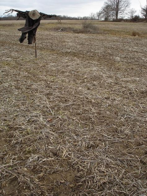 scarecrow in the field Midwestern Gothic, Midwest Gothic, Sophie Hatter, Idle Game, Jonathan Crane, Johnny Appleseed, American Gothic, Over The Garden Wall, Southern Gothic