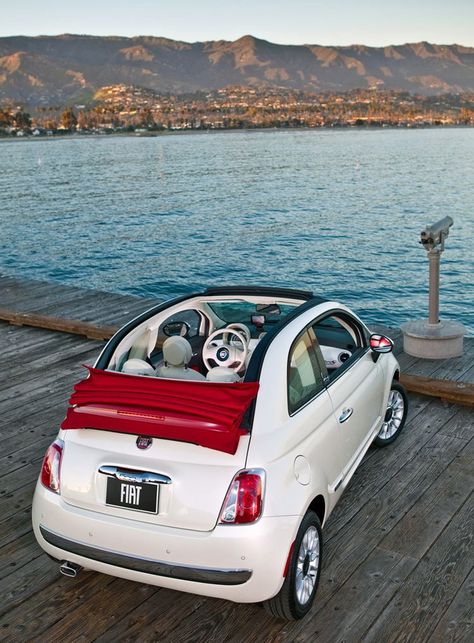 Fiat 500 Cabrio, Fiat 500c, Car Purchase, Fiat Panda, Car Lot, Pretty Cars, Car Hire, Car Club, Car Dealership