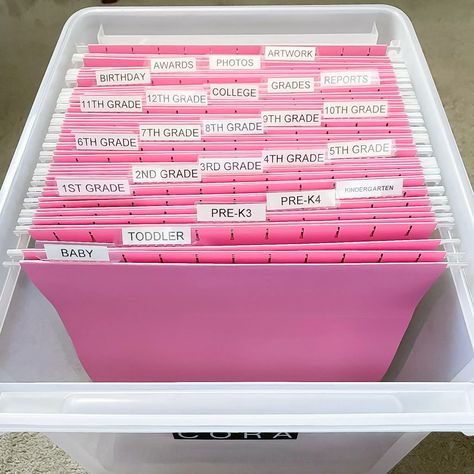 Filing Organization Ideas, Home Filing System, Filing Organization, File Folder Organization, Organize Life, Organizing Paperwork, Pool Remodel, Folder Organization, Hanging File Folders