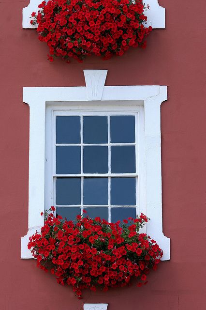 Come to my window by California Paints, via Flickr Box Gardens, Windows View, Door Ways, Historic Colours, Windows 1, Window Box Flowers, نباتات منزلية, Wooden Planter, Flower Window