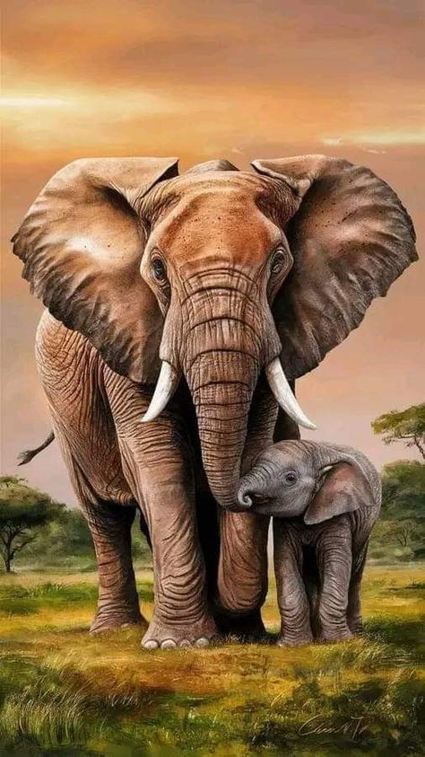 African Elephant Illustration, Elephant Paintings, African Animals Photography, Elephant Painting Canvas, African Portraits Art, Africa Elephant, Paw Wallpaper, Africa Art Design, Wild Animal Wallpaper