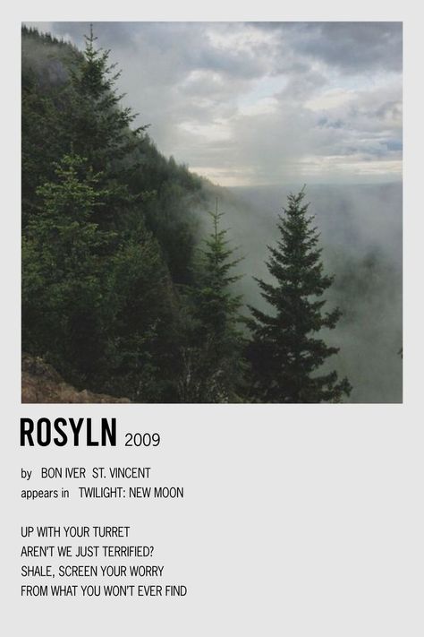 Poster Wall Music, Artist Poster Design, Artist Poster Prints, Roslyn Bon Iver, Sza Music, Music Artist Poster, Definition Of Aesthetic, Twilight Poster, Poster Taylor Swift