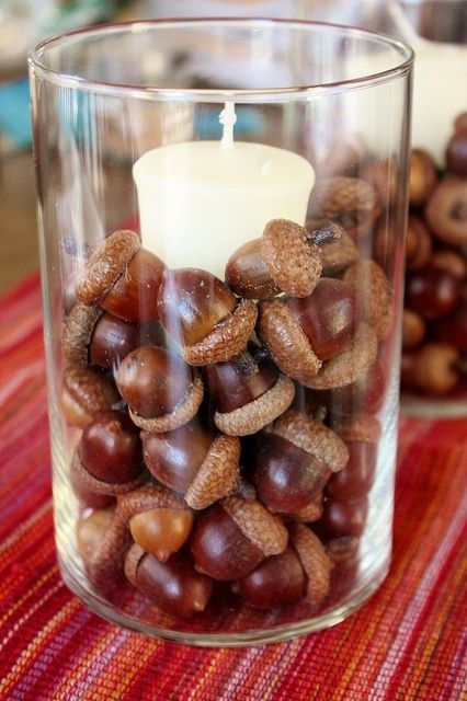 40+ Beautiful Inexpensive Fall Decorating Ideas to Update Your Home 11 Dried Acorns, Acorn Crafts, Fall Deco, Autumn Crafts, Fall Projects, Thanksgiving Crafts, Fall Holidays, Nature Crafts, Fall Diy