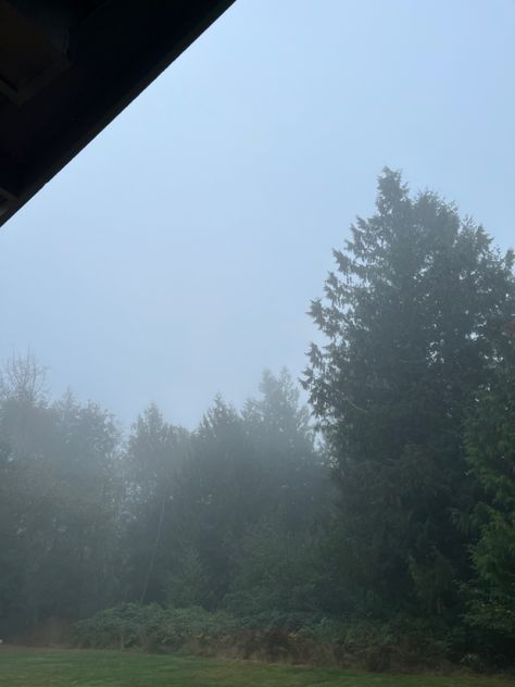 Foggy weather, washington state, seattle fog, fog, seattle weather, seattle vibe, gloomy weather, seattle, washington sea level, sea level Seattle Vibes, Seattle Aesthetic, Seattle Weather, Gloomy Weather, Foggy Weather, Western Washington, Rainy Season, Sea Level, Seattle Washington