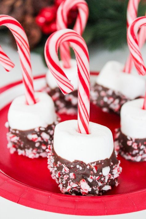 Covered Marshmallows, Peppermint Dessert, Peppermint Recipes, Best Christmas Desserts, Peppermint Chocolate, Chocolate Covered Marshmallows, Xmas Treats, Christmas Hot Chocolate, Christmas Candy Recipes