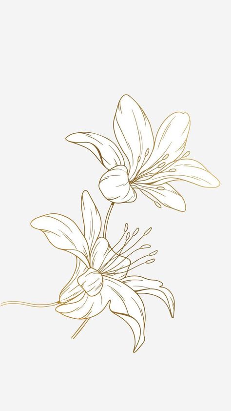 Lilly Line Tattoo, Drawing Of Lily Flowers, Lily Flower Aesthetic Drawing, Lilly Outline Tattoo, Lillys Flowers Tattoo, Lily Line Tattoo, Lilly Outline, Tiger Lilly Drawing, Tiger Lily Tattoo Design