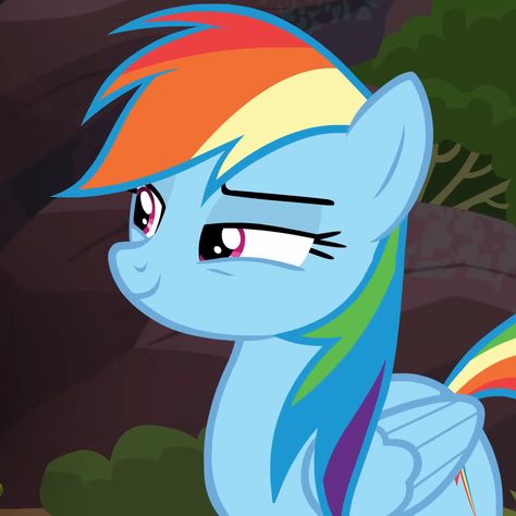 my little pony: fim s6e13 - stranger than fan fiction  | rainbow dash, my little pony, mlp icon pfp Rainbowdash Icon, Rainbow Widgets, Hear Me Outs, Rainbow Dash Pfp, My Little Pony Boys, Rainbow Dash Icon, Rainbow Dash Mlp, My Little Pony Pfp, Rainbow Dash Equestria