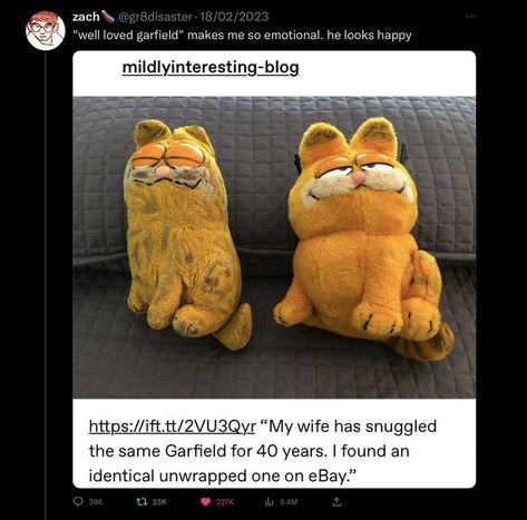 Garfield Images, Garfield The Cat, To Be Loved, Wholesome Memes, Silly Cats, Faith In Humanity, What’s Going On, Funny Images, Stuffed Animals