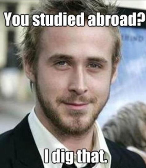 Ryan Gosling study abroad meme. Null Hypothesis, Big N, Psychology Humor, College Memes, Funny P, Happy Birthday Meme, E Mc2, Birthday Meme, Funny Bunnies