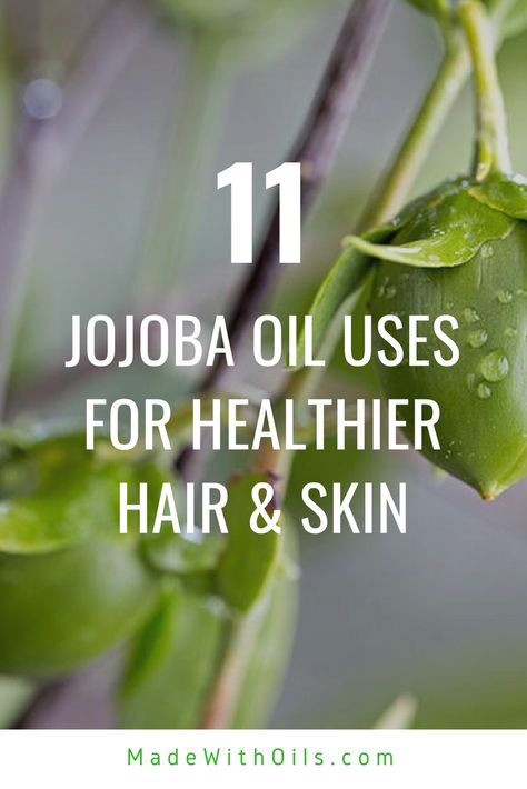 Jojoba Oil Uses For Beautiful Skin & Hair | The history of this oil has many sides. Jojoba oil has several interesting uses. This amazing plant extract was originally used by Native Americans to treat sores and wounds. Learn more about this wonder oil here! #essentialoils #wellness #homeremedies #naturalremedies Jojoba Oil Uses, Essential Oils Uses Chart, Body Oil Recipe, Jojoba Oil Benefits, Diy Essential Oil Recipes, List Of Essential Oils, Toxic Skincare, Essential Oils Guide, Essential Oils Herbs