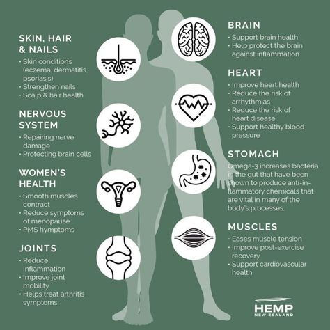 Discover The Health Benefits Of Hemp Seed Oil | Hemp Farm Benefits Of Hemp Seed Oil, Hemp Seed Benefits, Hemp Farm, Hemp Oil Benefits, Seeds Benefits, Chronic Pain Relief, Improve Heart Health, Post Workout Recovery, Healthy Blood Pressure