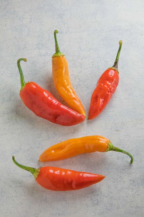 Chili Pepper Types - A List of Chili Peppers and their Heat Levels - Chili Pepper Madness Chili Pepper Hot Sauce Recipe, Yellow Chili Peppers, Types Of Chili Peppers, Chili Pepper Recipes, Peruvian Cuisine, Paste Recipe, Hot Peppers, Chili Paste, Hottest Chili Pepper