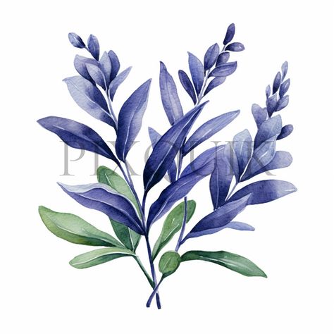 Indigo Plants Clipart | 10 High Quality JPGs | Botanical Art | Plant Elements | Plants clipart | Scrapbook, Printable, Commercial Use by PixQuik on Etsy Indigo Illustration, Blue Indigo Plant, Indigo Plant Illustration, Violet Botanical Illustration, Lilac Botanical Illustration, Indigo Plant, Diy Watercolor Painting, Diy Watercolor, Botanical Art