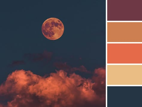 Harvest Moon Color Palette, Spooky Color Pallete, Spooky Color Scheme, Halloween Pallete Color, Spooky Colour Palette, Halloween Color Pallet, Scary Color Palette, Color Palette Halloween, Cosmic Color Palette