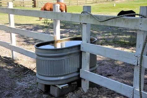 dual paddock water trough Barn Tack Room Ideas, Small Stable Ideas, Barn Ideas For Horses, Horse Paddock Ideas, Horse Pasture Ideas, Small Paddock, Horse Stall Ideas, Horse Barn Ideas, Horse Pasture