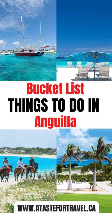 a collage of horseback riding, snorkeling, and beaches in Anguilla. Anguilla Island, Anguilla Travel, St Marteen Island, Anguilla Wedding, St Marteen, Anguilla Beaches, Saint Martin Island, 2024 Beach, St John Virgin Islands