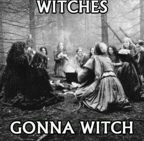 Witch Meme, Pagan Spells, Pagan Spirituality, Which Witch, Witch Quotes, Oracle Card Reading, Pagan Witch, The Witches, Sea Witch