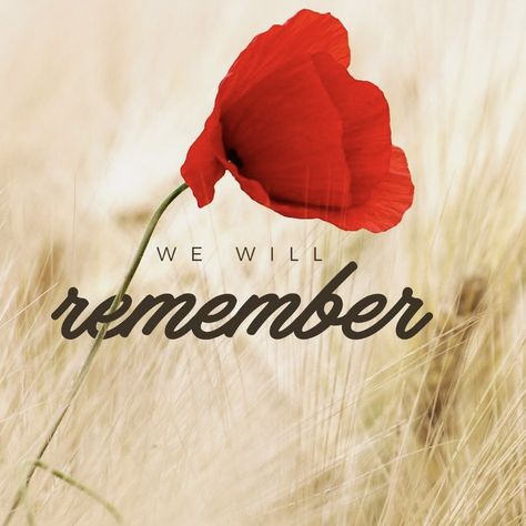 Remembrance Day Images Canada, Remembrance Day Images, Remembrance Day Photos, Remembrance Day Pictures, Remembrance Day Quotes, Remembrance Quotes, Lets We Forget, Firefighter Life, Memorial Day Thank You