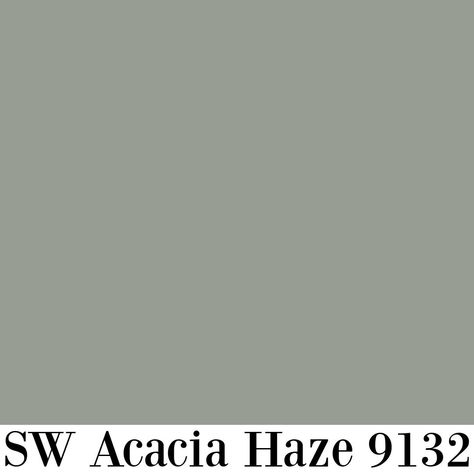 Sherwin-Williams Acacia Haze 9132 paint color swatch.. #greenpaintcolors #sagegreen Acacia Haze Sherwin Williams, Acacia Haze, Paint Color Swatches, Blue Gray Paint, Farmhouse Paint, Burning Fire, Green Gate, Green Paint Colors, Grey Paint Colors