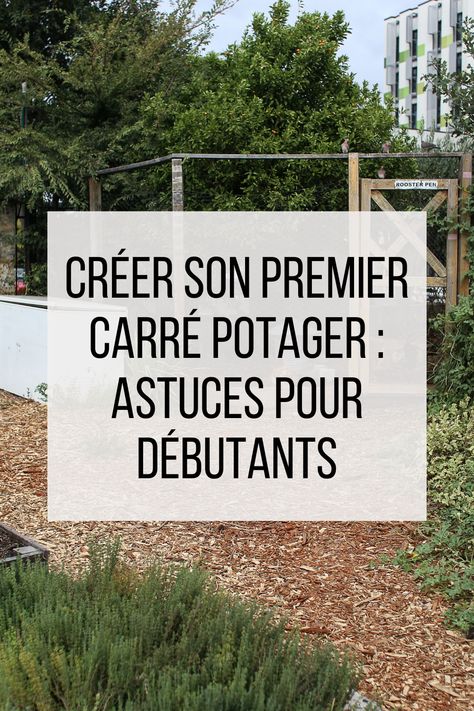 Créer son carré potager Plan Potager, Permaculture, Home And Garden, Design, Organisation