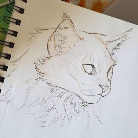 Drawing Tutorial Cat, Cat Drawing Sketches, Cat Drawings Simple, Cat Drawing Ideas, Cat Drawing Tutorial, Cats Art Drawing, Drawing Realistic, Výtvarné Reference, Animal Drawings Sketches