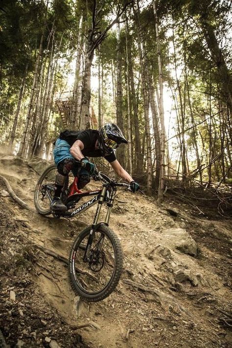 Mountain Biking Photography, Mt Bike, Mountain Bike Art, Mountain Biking Women, Mtb Trails, Bike Pictures, Downhill Mountain Biking, Bicycle Mountain Bike, Downhill Bike