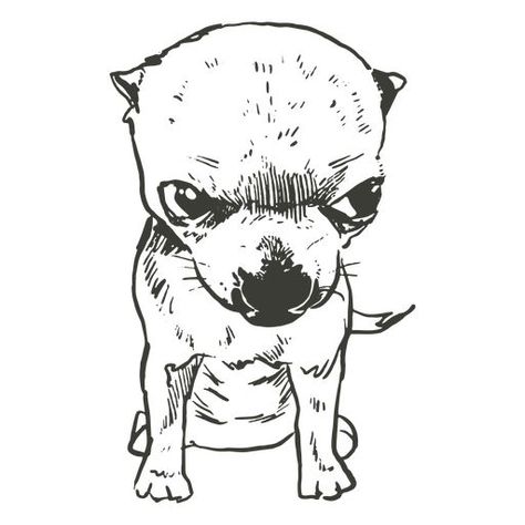 Angry chihuahua hand drawn PNG Design Chihuahua Drawing Cartoon, Chiwawa Drawings, Angry Dog Drawing, Chihuahua Doodle, Chihuahua Sketch, Angry Chihuahua, Chihuahua Illustration, Chihuahua Drawing, Chihuahua Tattoo