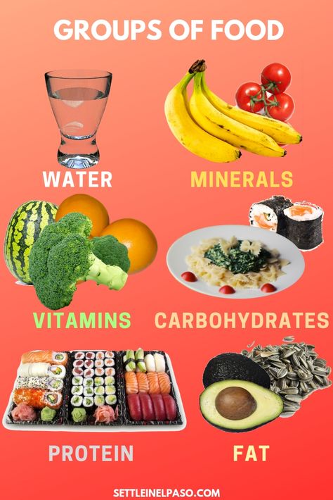 Six groups of food and their sources. The article describes all groups of food nutrients with pictures. || food groups || food groups preschool || food groups for kids || food groups for adults || food groups kindergarten Food Groups Kindergarten, Preschool Food Groups, Food Groups Preschool, Food Groups For Kids, Nutrition Basics, Food For Children, Five Food Groups, Preschool Food, Healthy Habits For Kids