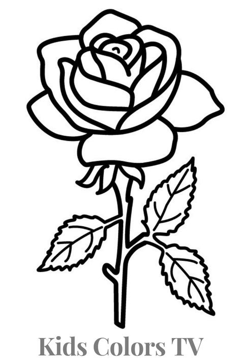 5 Flowers Drawing, Flowers Pictures Drawing, Flower Drawing Design Colour, Flowers To Trace, Cute Flower Drawing Easy, Simple Flower Coloring Pages, Rose Flower Drawing, Flower Drawing For Kids, Flowers Outline