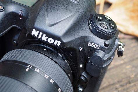 8 Things to Try With The Nikon D500 Nikon Dslr Camera, Nikon D500, Things To Try, Nikon Camera, Nikon Dslr, Perfect Model, Photography Lessons, Camera Nikon, Nikon Photography