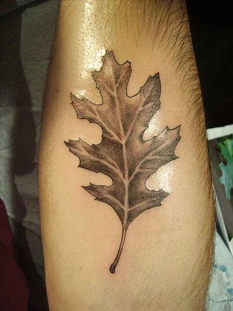 leaf tattoo by Tattoo Culture, via Flickr Oak Tree Leaf Tattoo, Asylum Tattoo, Oak Leaf Tattoo, Leaf Tattoo Ideas, Oak Leaf Tattoos, Maple Leaf Tattoos, Eye Tattoo Meaning, Tree Tattoo Arm, Oak Tree Tattoo