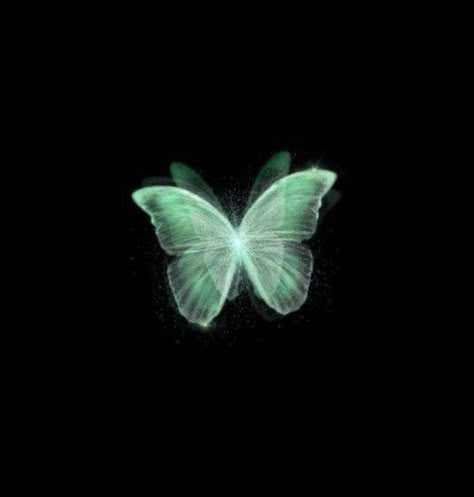 Green Butterfly, Green, White