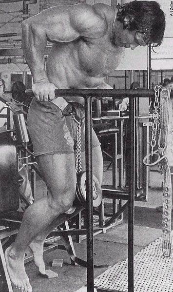 Arnold - bar dips w/ weights Dips Workout, Arnold Workout, Arnold Bodybuilding, Arnold Schwarzenegger Bodybuilding, Schwarzenegger Bodybuilding, Patrick Schwarzenegger, Bodybuilding Pictures, Maria Shriver, Chest Workouts