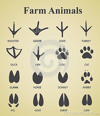 Set of farm animal tracks Pig Hooves, Farm Tattoo, Cow Hooves, Chicken Tattoo, Animal Footprints, Hoof Print, Vegan Tattoo, Theme Tattoo, Animal Tracks