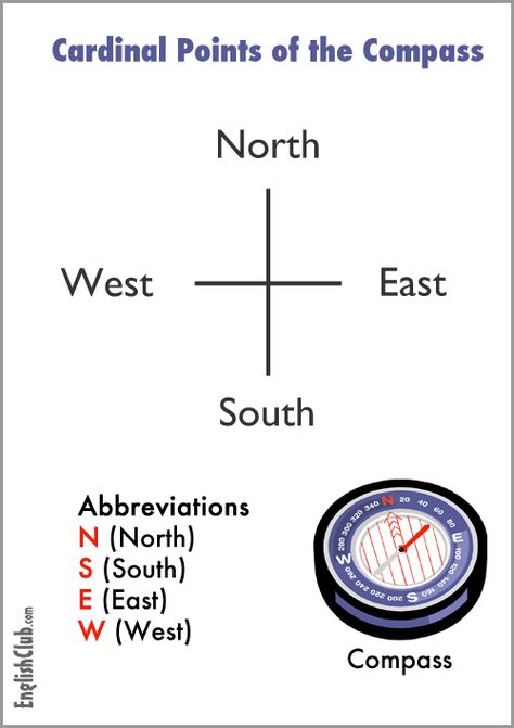 Four Points of the Compass The Four Directions, Compass Worksheet, Cardinal Points, Cardinal Directions Anchor Chart, Compass Infographic, Teaching The Compass Rose, Primary School Activities, Compass Directions, Cardinal Point