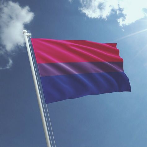 Bi Flag Aesthetic, Gender Fluid Wallpaper, Bisexual Wallpaper Iphone Aesthetic, Bi Flag, Bisexual Flag, Lgbt Flag, Lgbt Art, Lgbt Pride, Lgbtq Pride