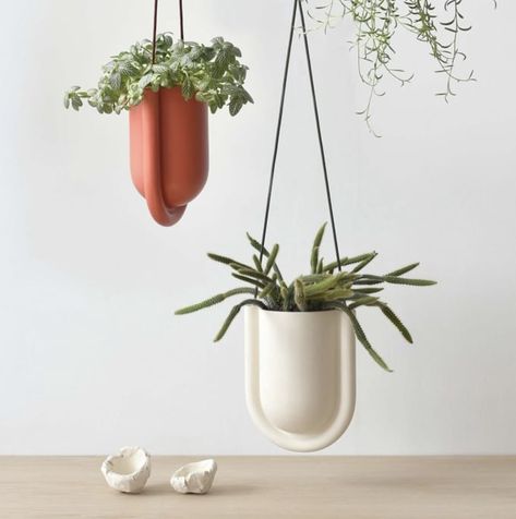 West Elm Misewell Portico Hanging Planter Parisian Interior Design, Garden Ceramics, Wood Vases, Wooden Vases, Parisian Interior, Gifts Under 25, Indoor Outdoor Planter, Unique Centerpieces, Plant Basket